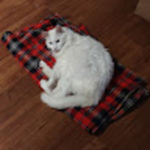 Meet your Posher, Aaron